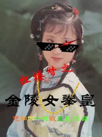 红楼梦之金陵女拳皇