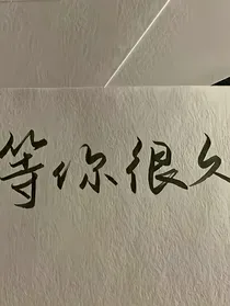 查理九世之无暇