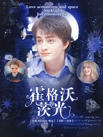 HP霍格沃茨的光