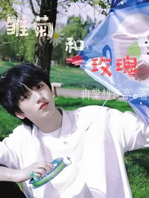 雏菊与玫瑰