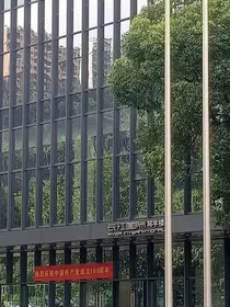 我的名字是楼宠