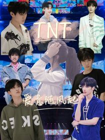 TNT：爱意满满随风去