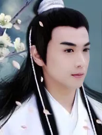 知否：公子世无双