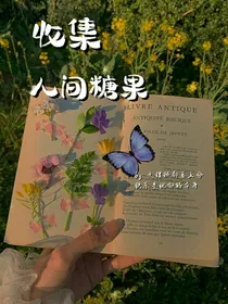 收集人间糖果（后续