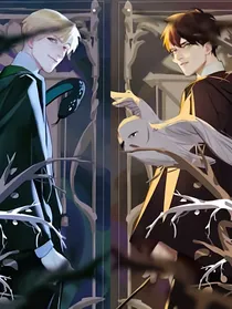 Hp：马尔福小姐请小心