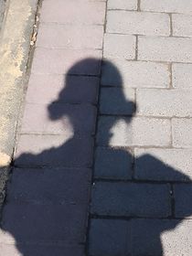 盛，抱抱我