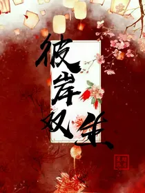 命运之轮：彼岸双生