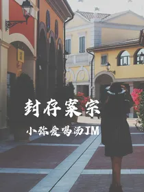 猎罪图鉴衍生：封存案宗