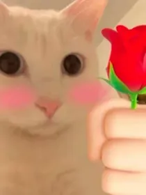 忍者也会撩