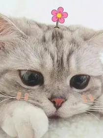 独世剑仙