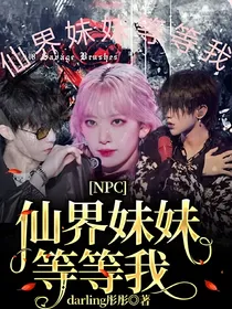 NPC：仙界妹妹等等我