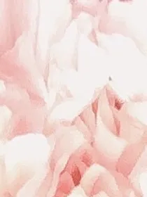 你好，my老师
