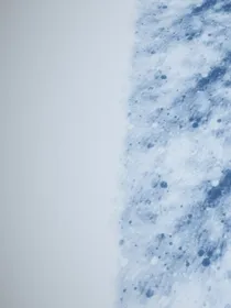 诗中戏