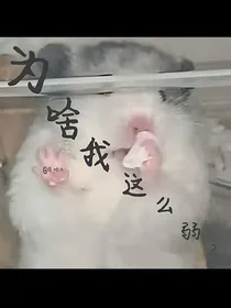 为啥我这么弱？