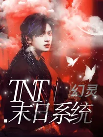 TNT：幻灵末日系统
