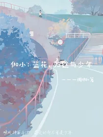 伽小：蓝花，归途与少年