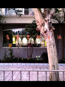 青春里的女孩