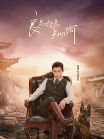 良辰好景知几何电视剧改编