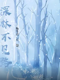 林深，不见路