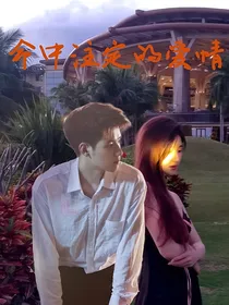 任豪：命中注定的爱情