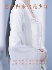陈情令之愿你归来仍是少年