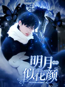 NPC：明月似花颜