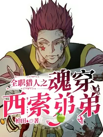 全职猎人之魂穿西索弟弟