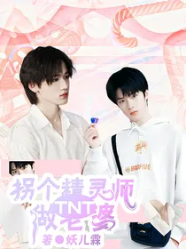 TNT：拐个精灵师做老婆
