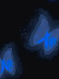 勿忘我Lullaby