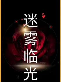 迷雾临光