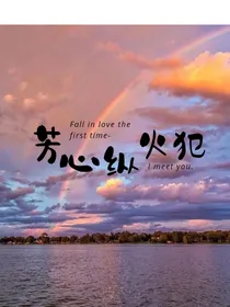 1，芳心纵火犯