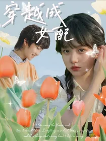 TF三代：穿越成女配……