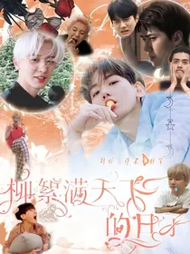边伯贤：柳絮满天飞的日子