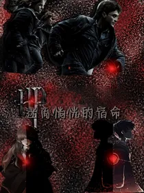 HP：迷离惝恍