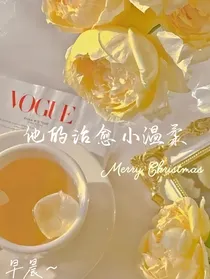 他的治愈小温柔
