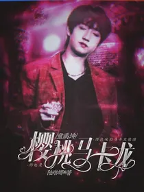 童禹坤：樱桃马卡龙