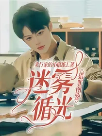 猎罪图鉴：迷雾循光