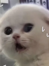 脑内有疾