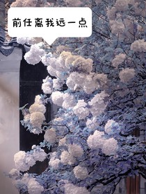 前任离我远一点