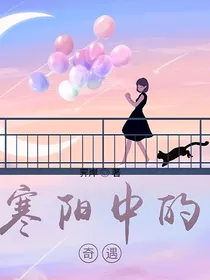 寒阳中的奇遇