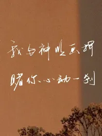 盛夏月似屿