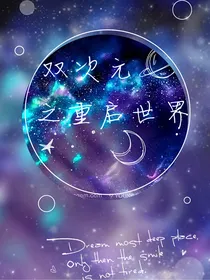 双次元之重启世界（已弃文）