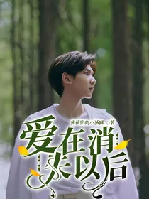 爱在消失以后