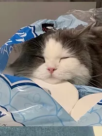 惜于融