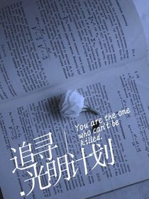 追寻光明计划