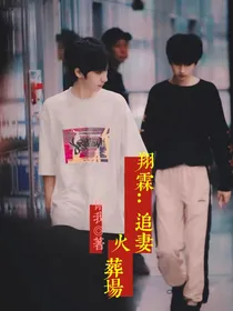翔霖：追妻火葬场