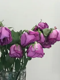 第7家疯人院