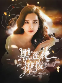 综影视：黑莲花撩拨计划