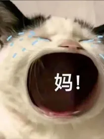 作者大大的碎碎念