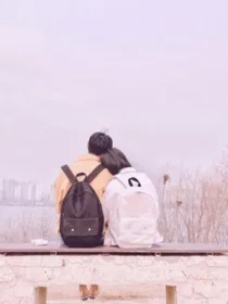 橘色的奔赴